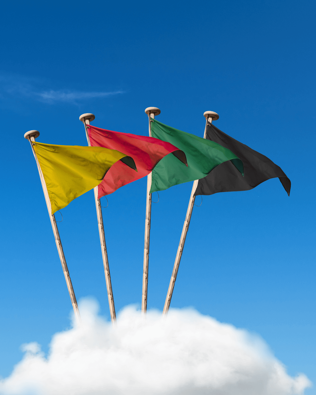 Flaggensystem_hochformat